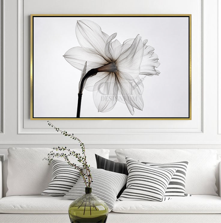 Elegant White Flower
