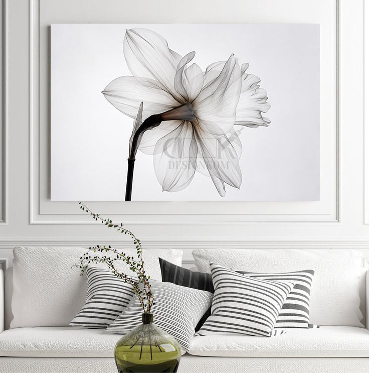 Elegant White Flower