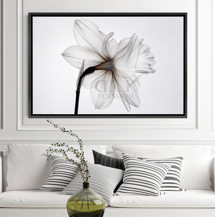 Elegant White Flower