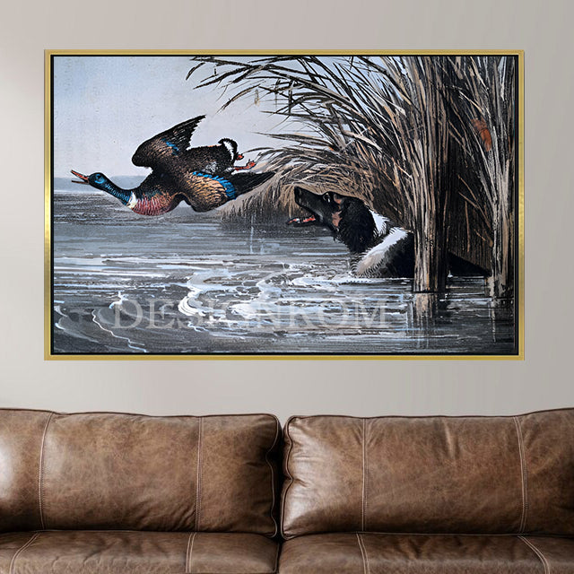 Wild Dog and Duck Hunting