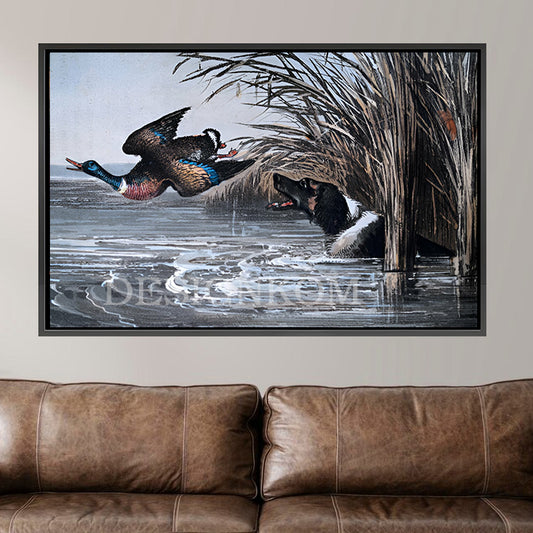 Wild Dog and Duck Hunting